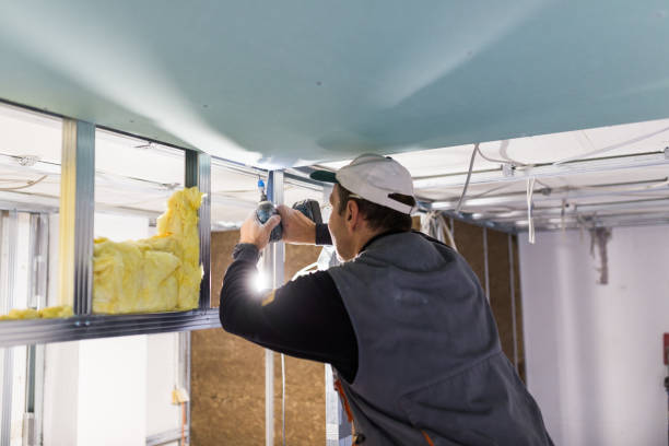 Best Types of Insulation in Southmayd, TX