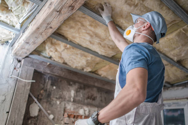 Best Insulation Materials and Products in Southmayd, TX